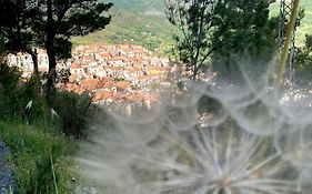 Casa- Vacanza Giro' - C2A6PEU3OW